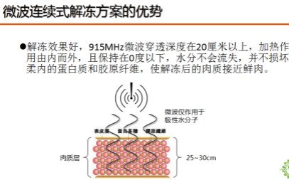 山东科弘解冻设备专业技术精心设计生产厂家