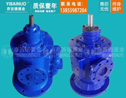 HSNS1700-42N冲洗油泵整机轴封