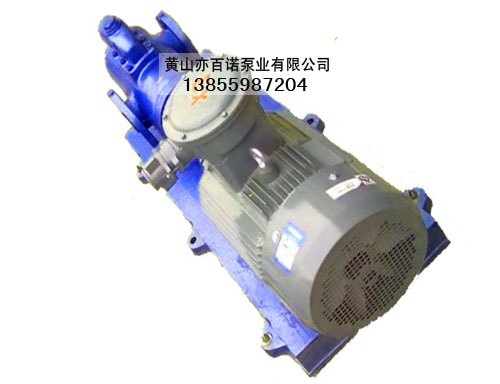 SMH40R38E6.7W23轩岗电厂螺杆泵整机