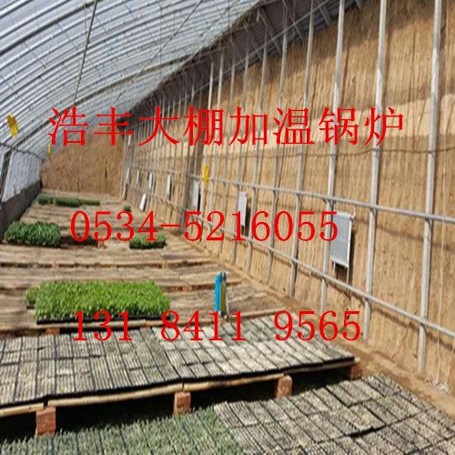 供应煤气两用温室大棚取暖锅炉厂家技术
