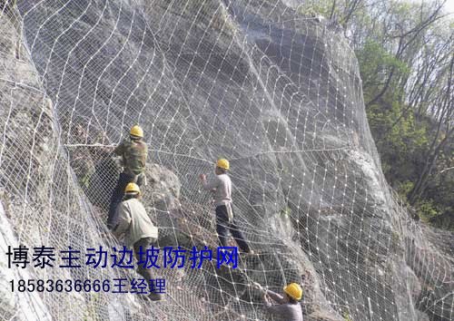 供应主动边坡防护网生产厂家