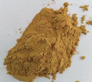 供应苹果提取物 天然苹果粉
