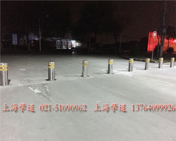 供应青岛维亮牌升降柱， 酒店防止停车升降柱  