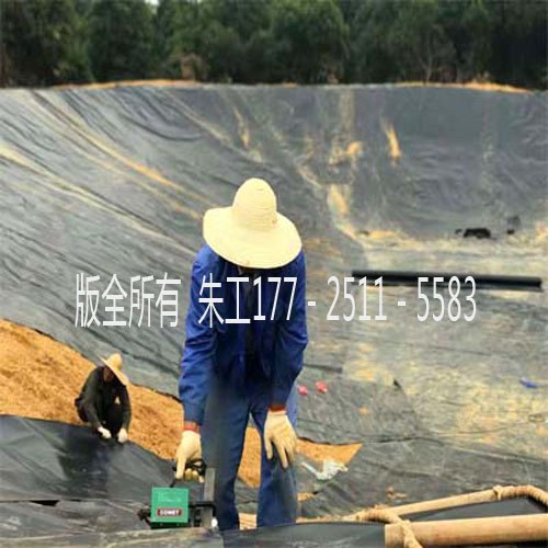 黑龙江杜尔伯特 沼气工程 黑膜沼气池 软体沼气建设报价