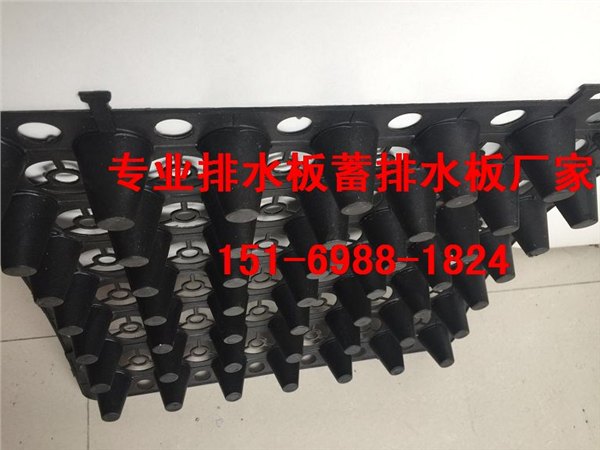 3/2公分蓄排水板沈阳##盘锦车库顶板绿化排水板 