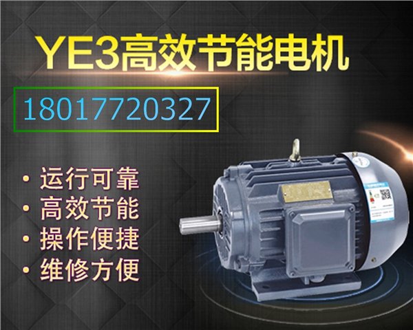 供应上海左力电机配件极数YE3-200L-4高效电机节能电机二极能效型号 