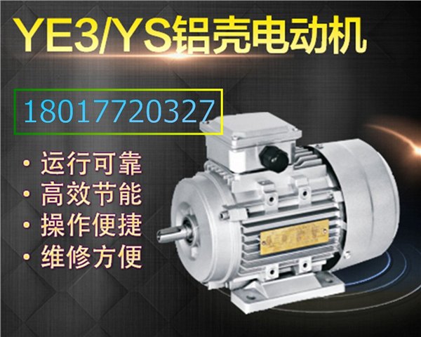 供应上海左力电机配件极数YS132S1-2高效电机YE2普通电机型号生产厂家