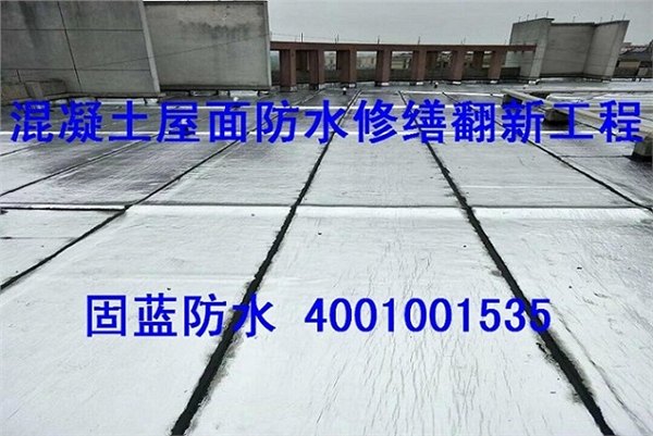 楼房屋顶防水补漏堵漏工程优质服务提供商固蓝防水