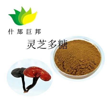 供应灵芝多糖灵芝提取物