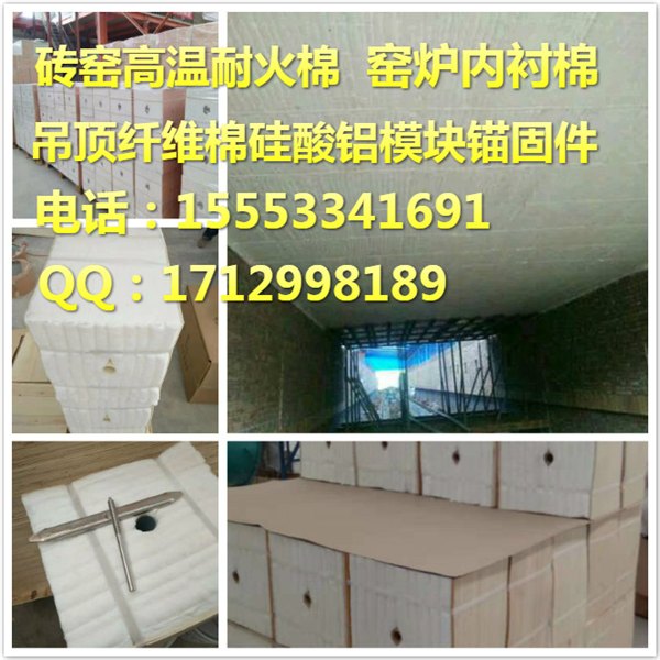 供应加热炉，台车炉保温专用硅酸铝陶瓷纤维节能模块